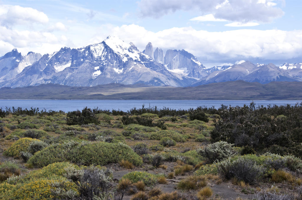 Tierra Patagonia Hotel Torres del Paine National Park Exterior photo